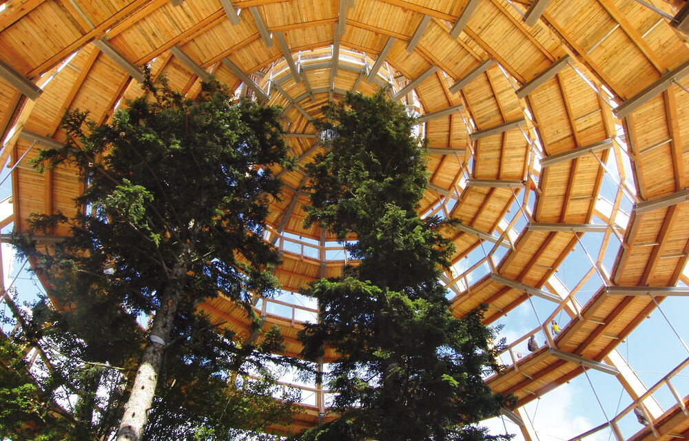 Ausflugstipps Bayerischer Wald